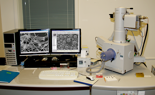 Scanning electron microscopy thesis